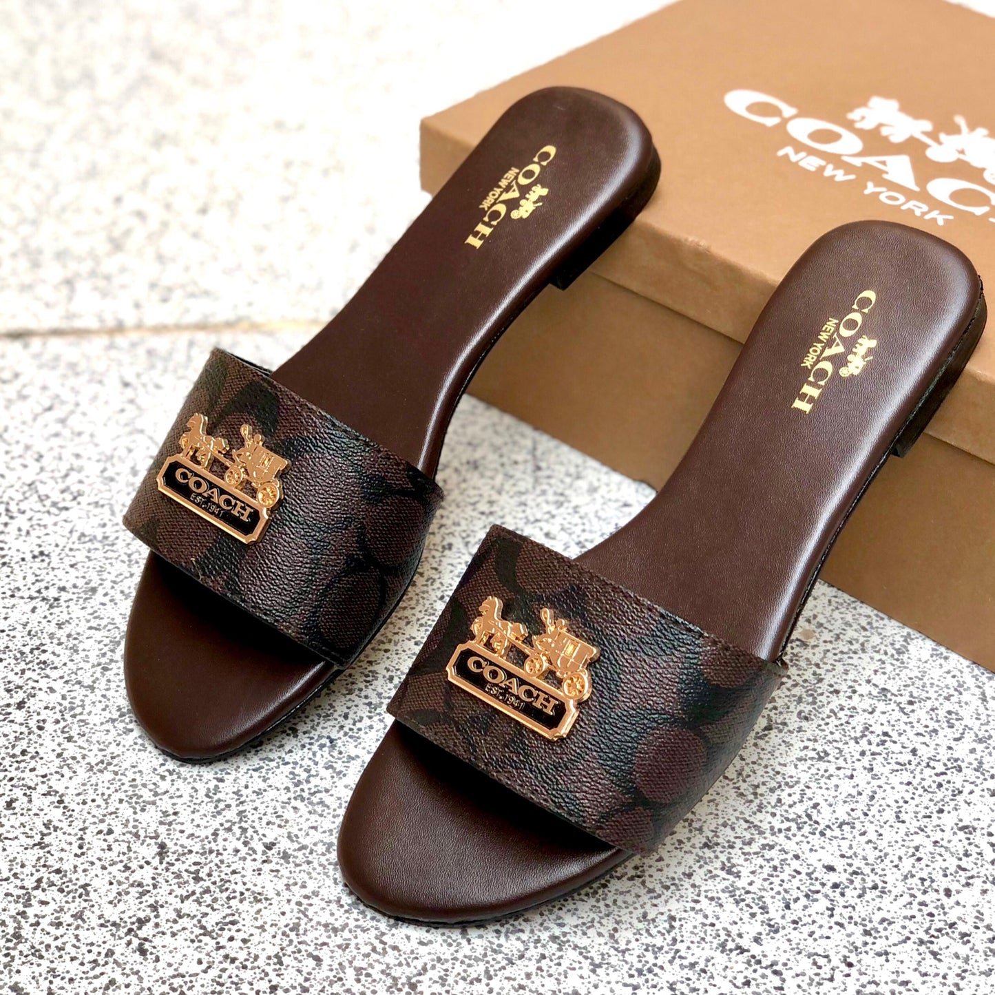 Coch Slipper