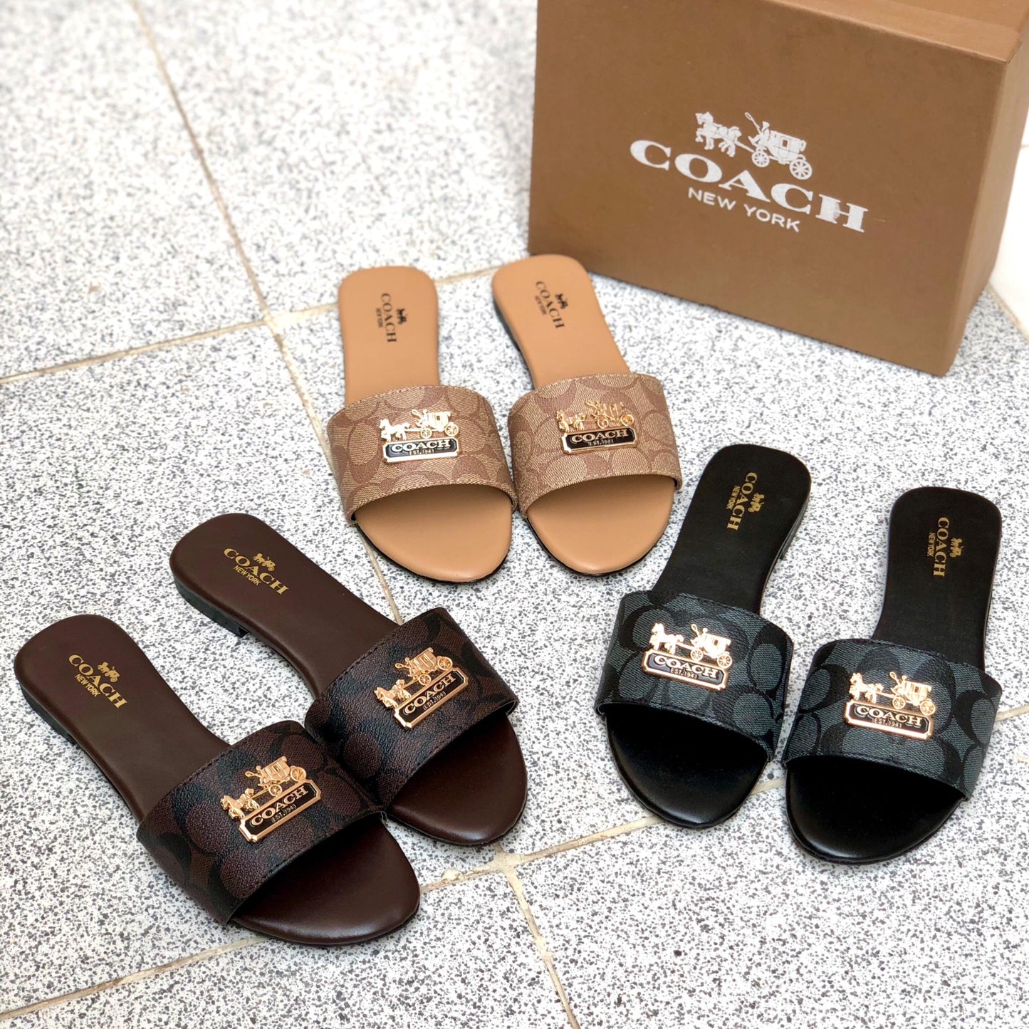 Coch Slipper