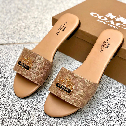 Coch Slipper